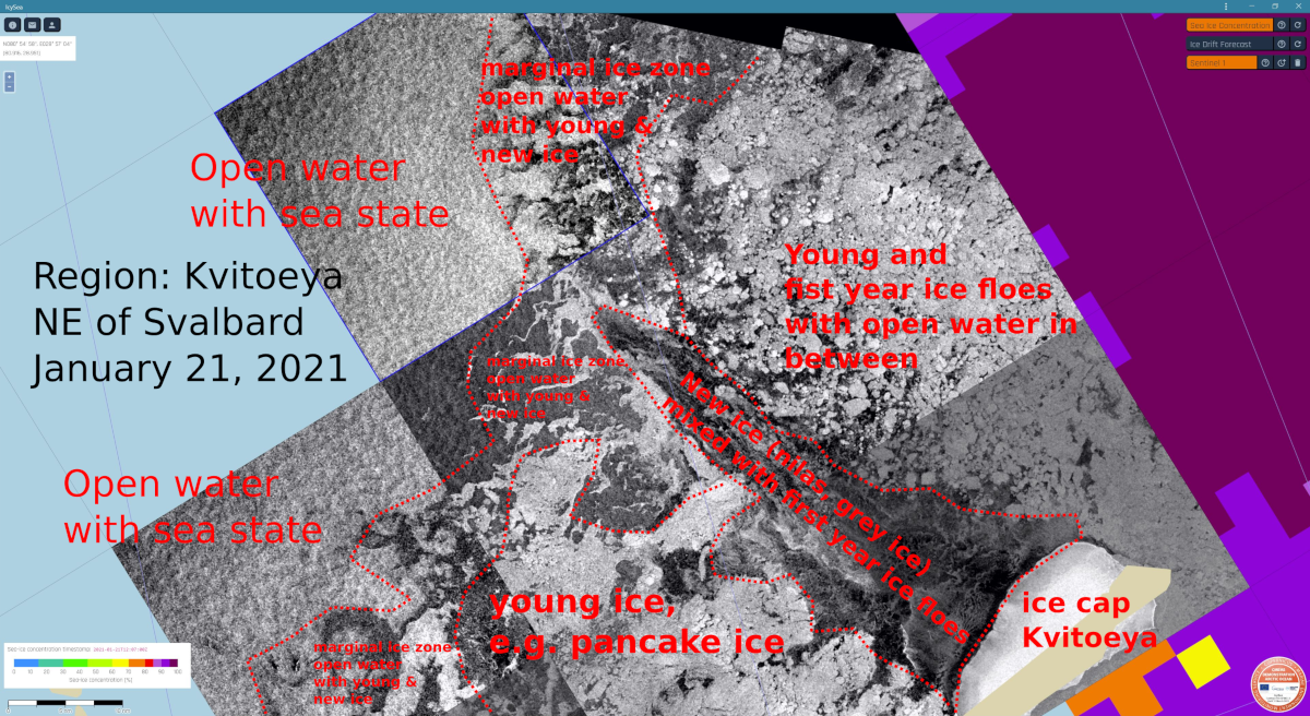 Interpretation of winter conditions, ice edge Kvitoeya region north-east of Svalbard